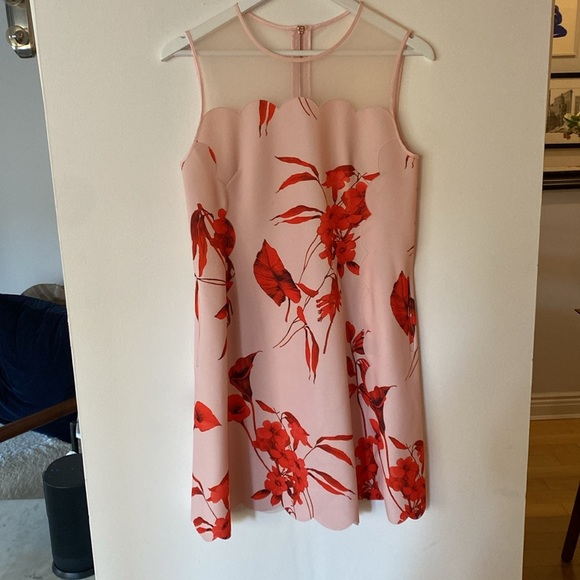 Ted Baker Jaazmin Fantasia Scallop Mini Dress Mesh Red Pink Floral Size 6 - Picture 6 of 14